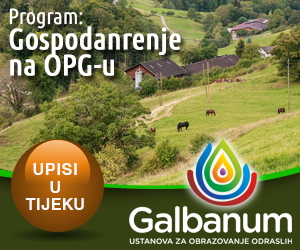 Galbanum-opg-gospodarenje.jpg
